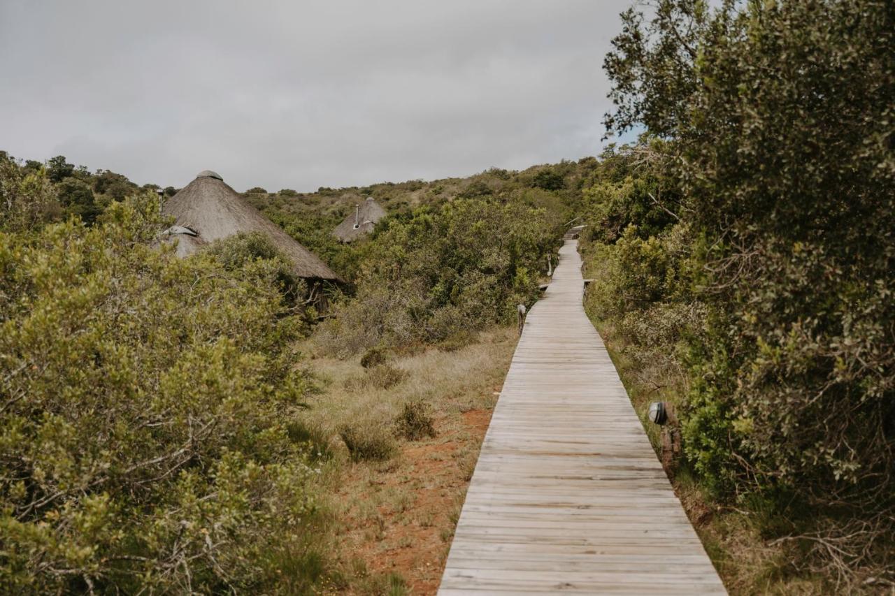 Bukela Game Lodge - محمية أماخالا الطبيعية المظهر الخارجي الصورة