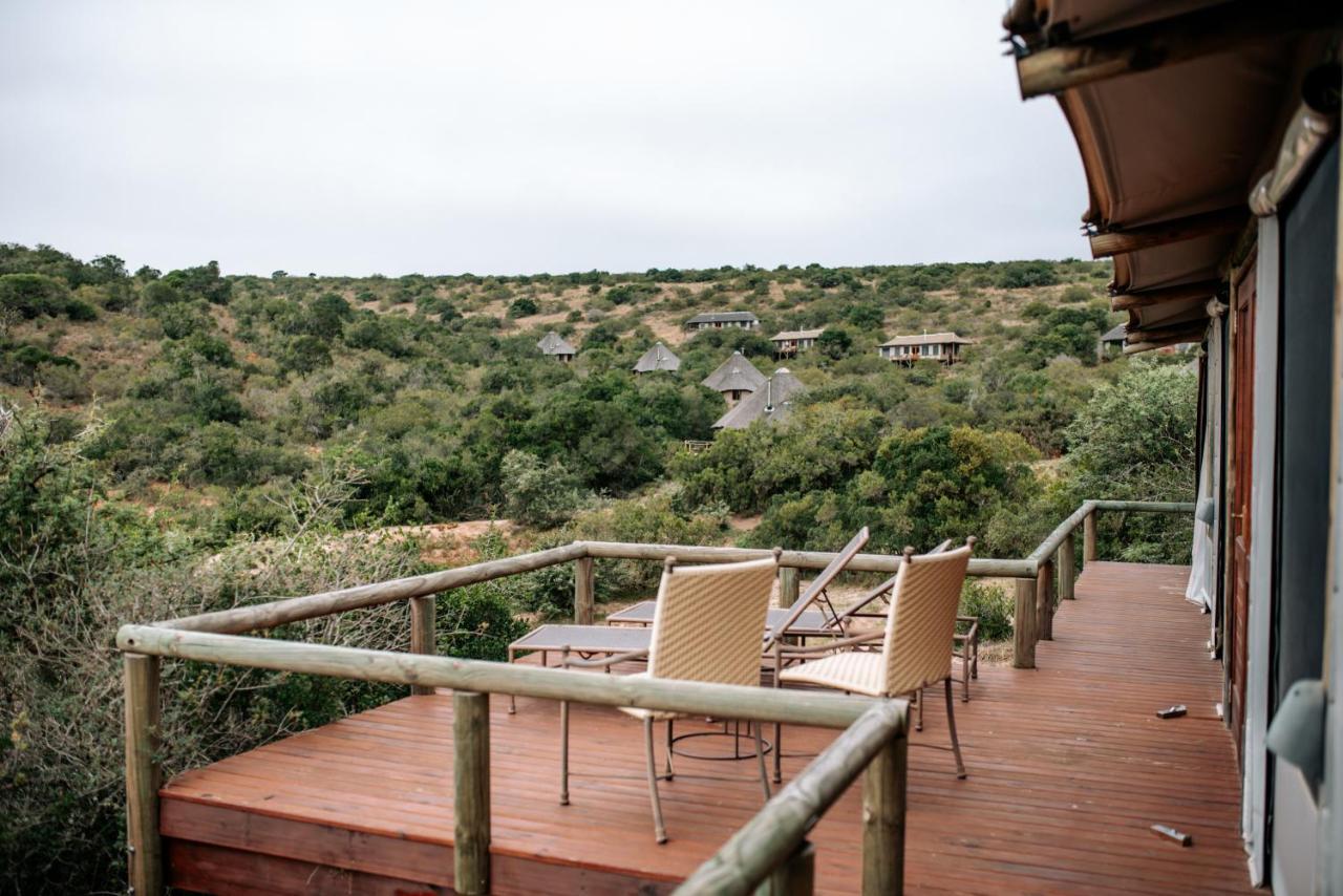 Bukela Game Lodge - محمية أماخالا الطبيعية المظهر الخارجي الصورة